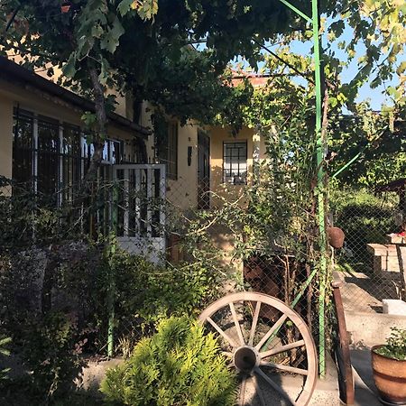 Guesthouse Planinsko Gnezdo Tazsa Kültér fotó