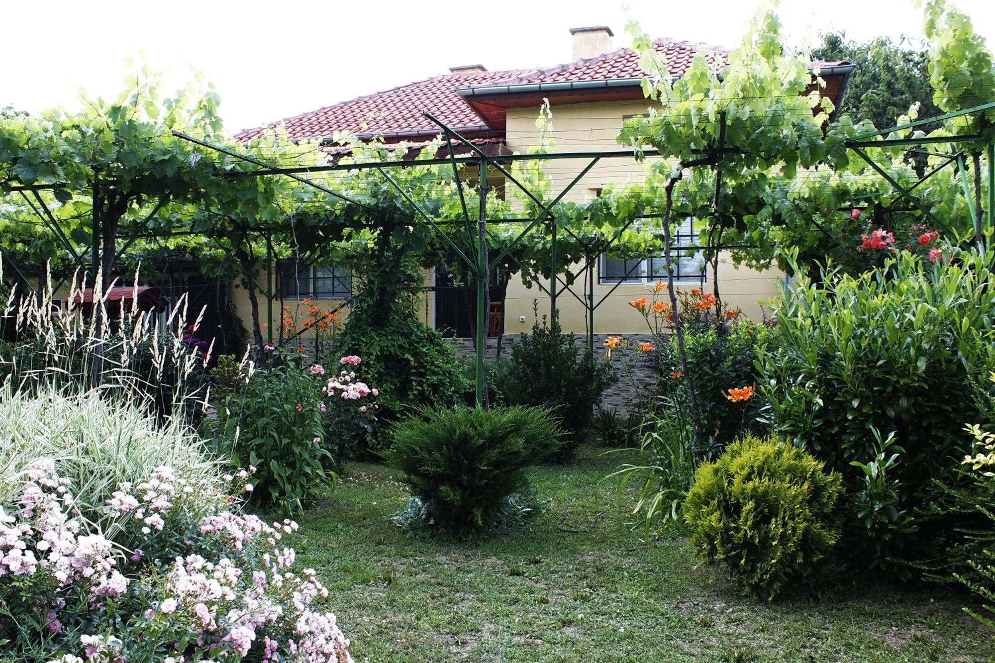 Guesthouse Planinsko Gnezdo Tazsa Kültér fotó