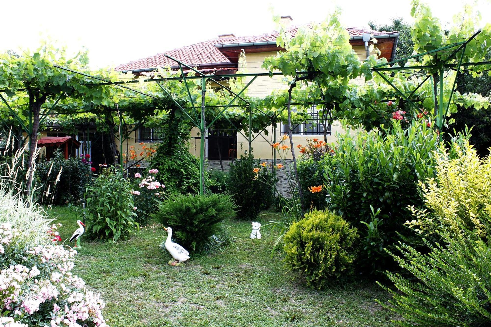 Guesthouse Planinsko Gnezdo Tazsa Kültér fotó