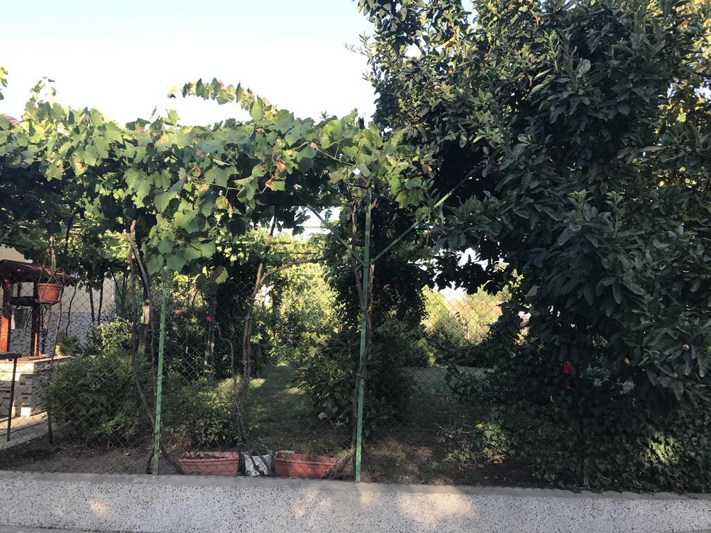 Guesthouse Planinsko Gnezdo Tazsa Kültér fotó