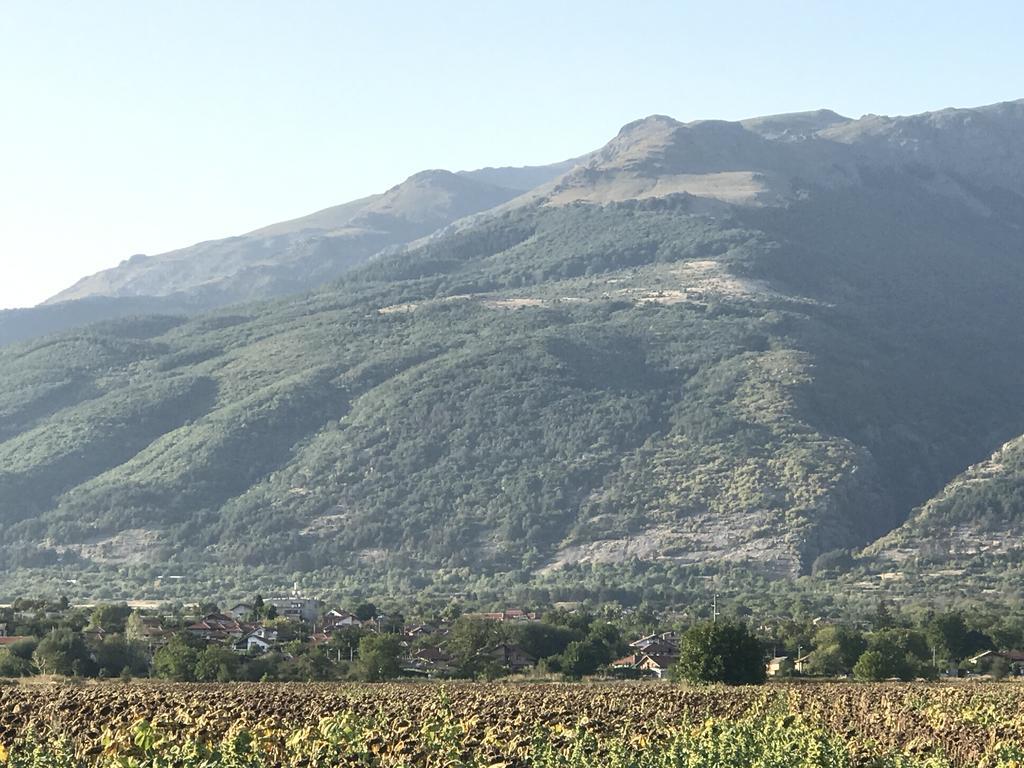 Guesthouse Planinsko Gnezdo Tazsa Kültér fotó
