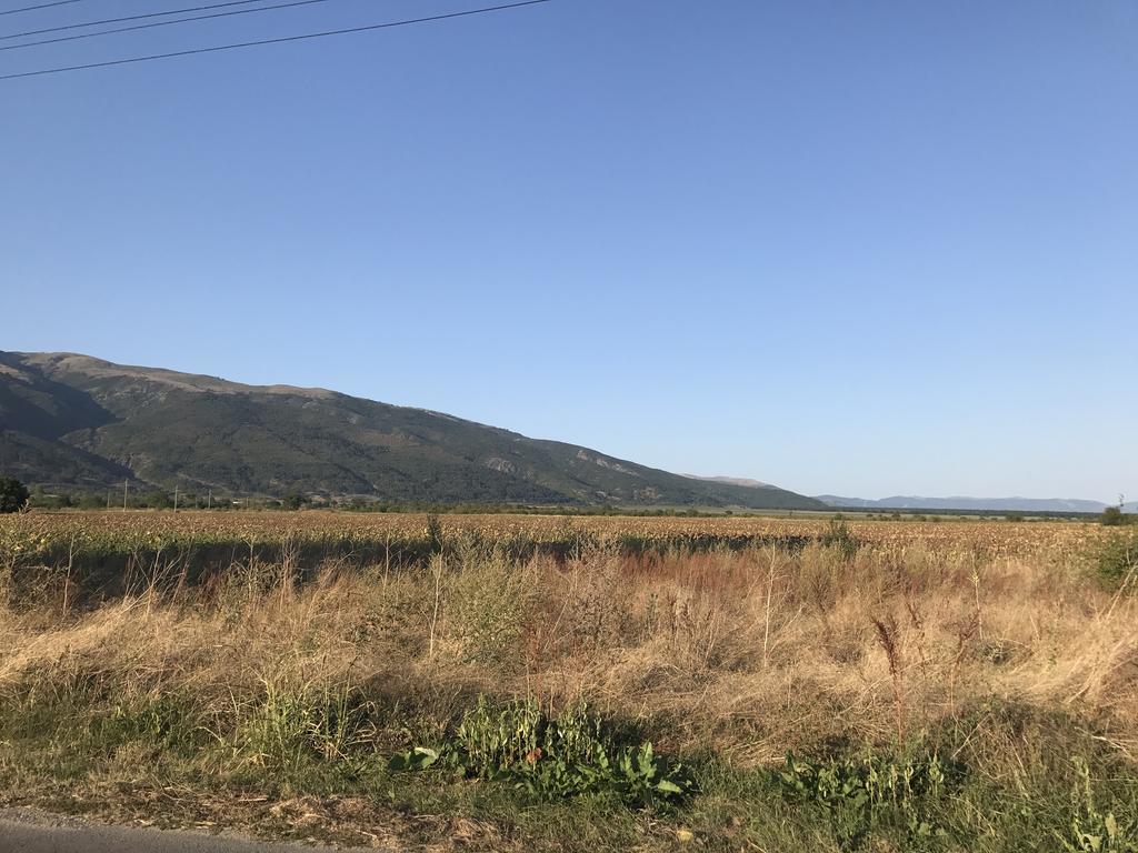 Guesthouse Planinsko Gnezdo Tazsa Kültér fotó