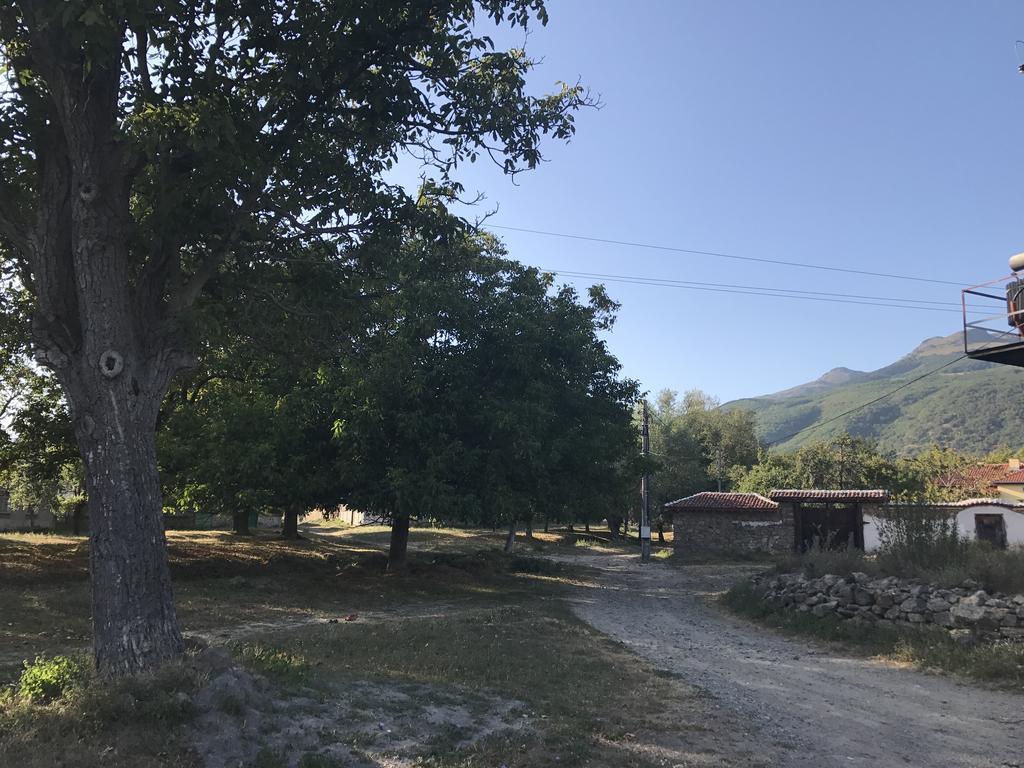 Guesthouse Planinsko Gnezdo Tazsa Kültér fotó