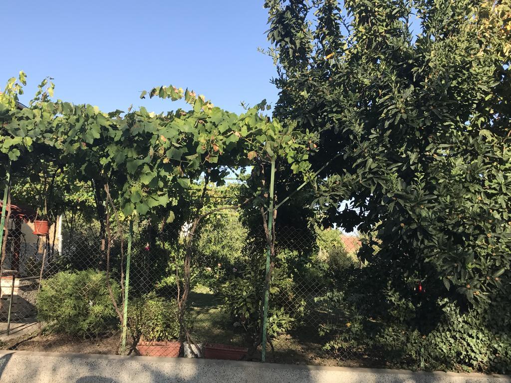 Guesthouse Planinsko Gnezdo Tazsa Kültér fotó