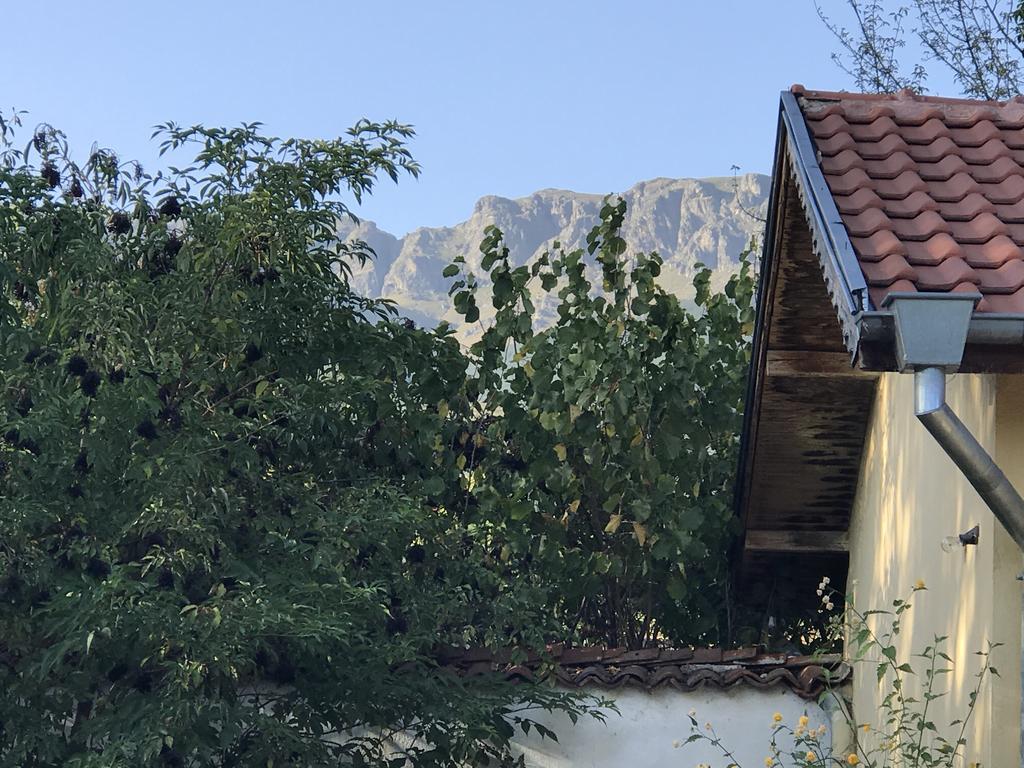 Guesthouse Planinsko Gnezdo Tazsa Kültér fotó