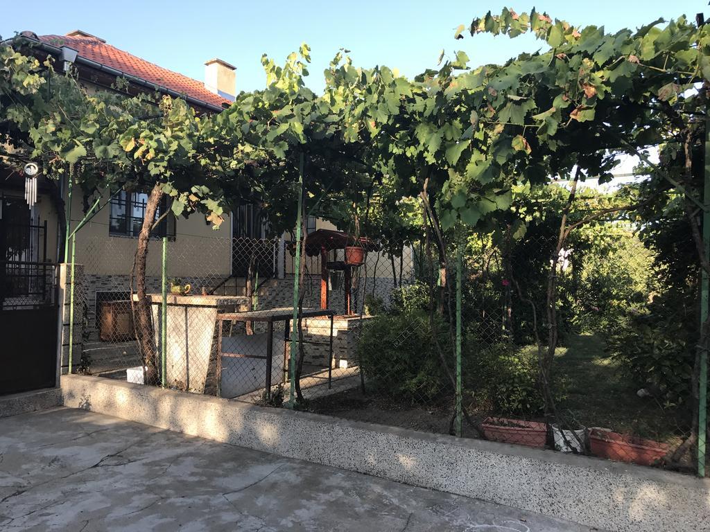 Guesthouse Planinsko Gnezdo Tazsa Kültér fotó