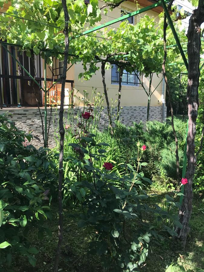 Guesthouse Planinsko Gnezdo Tazsa Kültér fotó