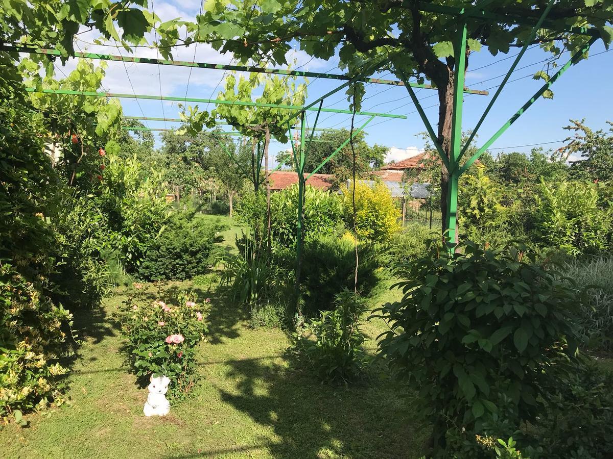 Guesthouse Planinsko Gnezdo Tazsa Kültér fotó